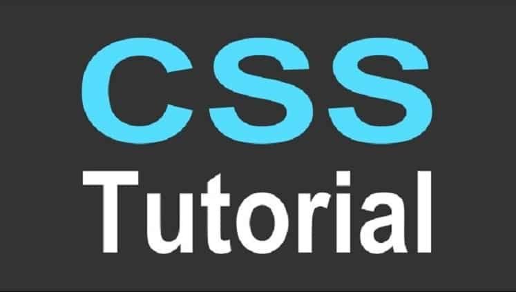 Beginner's Guide to CSS Tutorials - Learn CSS from Scratch